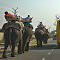 Elephant Convoy