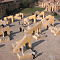 Jantar Mantar (Observatory) 1